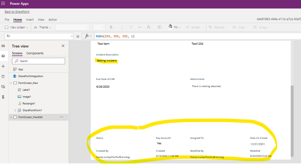 Complaint Form - View Form from PowerApps.png
