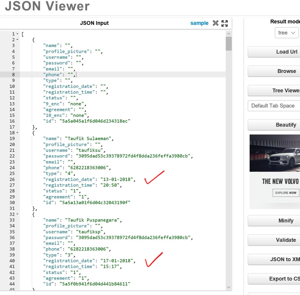 JSON Viewer shows correct Date