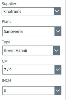 selection supplier multiple plant.jpg