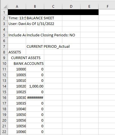 Balance sheet raw Screenshot 2022-01-14 162750.jpg