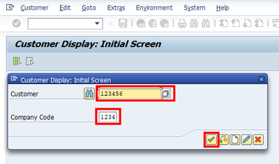 SAP - Customer Display: Initial Screen
