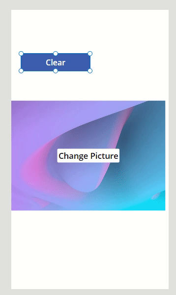 clearpicture.gif